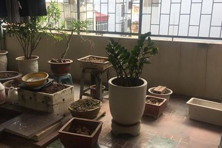 Nhà 42M2, 5 Tầng Phố Thái Hà, Ngõ Ô Tô 5M, Giá 4,7 Tỷ.