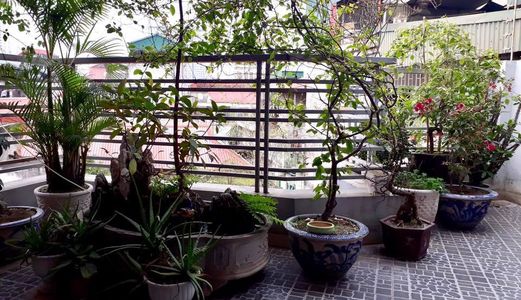 Bán Nhà Phố Nhân Hòa, Dân Trí Cao, An Ninh Tốt, 43M2, 4.3 Tỷ