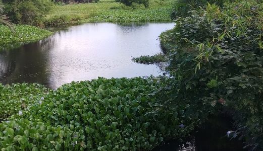 Nhận Đặt Chỗ Dự Án Mới Sau Lưng Vinahouse Hội An