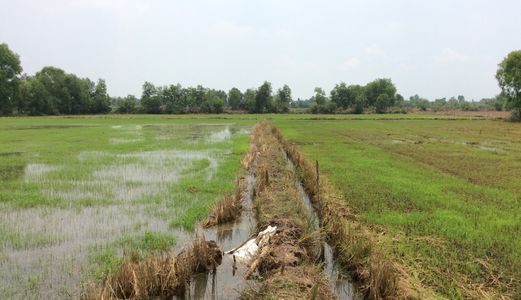 Bán 8673M2 Đất Lúa Hòa Khánh Tây, Đức Hòa Giá 2,4 Tỷ