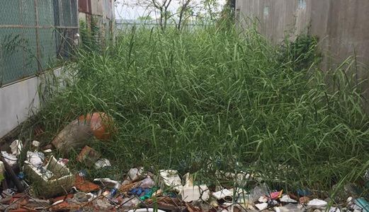 Bán Đất Huỳnh Tấn Phát Phú Xuân Nhà Bè - Dt 5X20M -1.8 Tỷ Thương Lượng