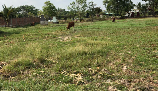 Bán Đất 17X60M Thị Trấn Đức Hòa- Long An. Giá 2 Tỷ 6