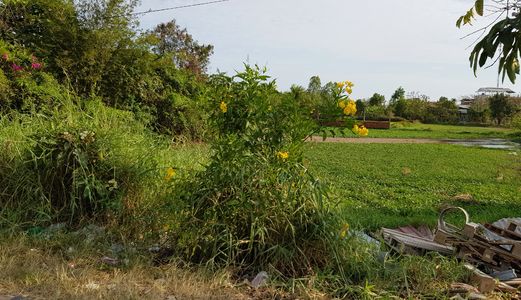 Sacombank Bình Chánh Thông Báo Phát Mãi 7 Lô Đất Sổ Riêng, đường Nhựa