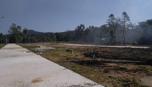 Cần Ra Đi Gấp 5 Nền Mặt Tiền Búng Gội 42M - Shr - Sinh Lời Cao