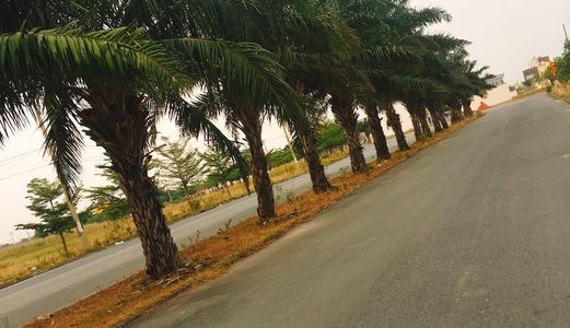 Dự Án Đẹp, Mở Bán Đợt Đầu, Chào Đón Các Nhà Nhà Đầu Tư