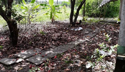 Bán Nhà Sân Vườn 1668M2 Gần Cầu Bến Lức – Long An, Ql 1A Rẽ Vào 1,8Km Giá 1,75 Tỷ