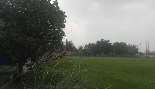 Bán Gấp Lô Đất 8*40 Thổ Hết Xã Đức Hòa Thượng Cách Đường Tl825 100M