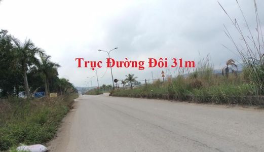 Bán Lô A1 Kđt Cao Xanh, Hà Khánh A Trục 31M. Dt: 375M2, Mt: 15M. 