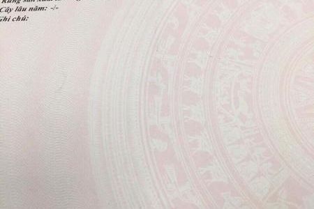 Bán Lô A2-17 Tái Định Cư Hà Khánh B. Dt: 80M2, Mt:5M, Hướng: Tây Nam !!!