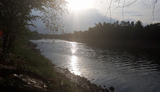 Dt 120M2, Đối Diện Sông Túy Loan, Hướng Đông, Gần Chợ, Đất 2 Mặt Tiền