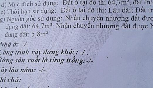 Cần Bán Gấp Lô Đất Mt Sông Chùa, Tân Tạo, Bình Tân