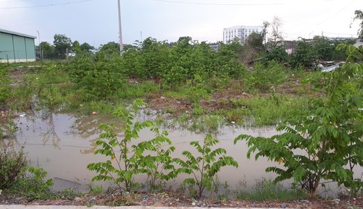 Thanh Lý Đất Thổ Cư, Mặt Tiền Gần Kcn Bình Chiểu, Thủ Đức