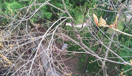 Bán Nhà Tây Sơn 47M2, 5 Tầng, Chào 4,2 Tỷ - Ô Tô Đỗ Ngõ, Tuyệt Đỉnh Kinh Doanh.