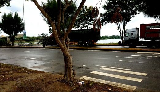 Đọc Tin Này Trước Khi Đặt Chỗ Homeland Central Park - Dự Án Hot Nhất Tại Trung Tâm Quận Liên Chiểu