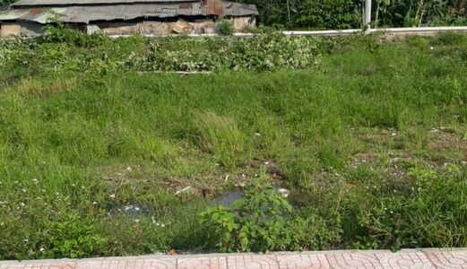 Bán Đất Nền Dự Án 81M2 Nằm Ngay Trung Tâm Thành Phố, Giá Cả Hợp Lý