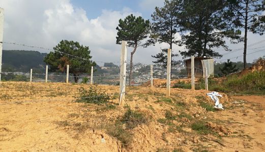 Bán Đất Đường Khu Quy Hoạch An Sơn, Phường 4, Đà Lạt - Dt 208,1M2 - Giá 5,2 Tỷ Đ2448