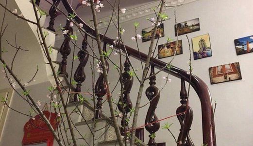 Cực Hot...! Nhỉnh 5 Tỷ Sở Hữu Nhà Đẹp Ngọc Hà 35M, 5 Tầng. Lô Góc – Lõi Ba Đình - An Sinh Tuyệt Đỉnh.