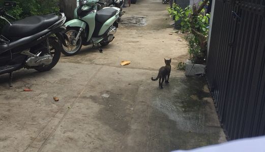 Cần Bán Gấp Căn Nhà 382 Thị Trấn Nhà Bè - Giá 2.3 Tỷ, Thương Lượng Nhẹ.