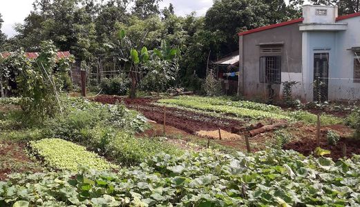 Cần Bán Gấp Lô Đất Tại Hẻm Đường E