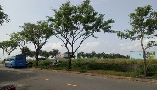 Cần Bán  Đất Đường Vũ Ngọc Nhạ - Đầu Tuyến Sơn Trà-Điện Ngọc 