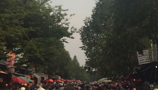 Chính Chủ Thanh Lý Nhanh 300M2 Vị Trí Đẹp Phù Hợp Xây Khách Sạn Nhà Nghỉ Ở Mỹ Phước