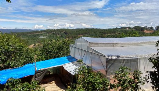 Bán Đất Đường Quốc Lộ 20, Xuân Trường, Đà Lạt - 14149M2 - 3,5 Tỷ Đ2504