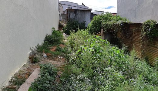 Bán Đất Đường Khu Quy Hoạch Ngô Quyền, Phường 6, Đà Lạt - Dt 102,8M2 - Giá 3,5 Tỷ Đ2541