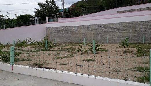 Bán Đất Chính Chủ Gần Điện Biên Phủ- Nha Trang- Khánh Hòa.