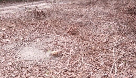 Bán Đất Vĩnh Thanh, Nhơn Trạch