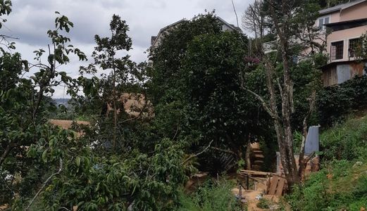 Bán Đất Đường Đặng Thái Thân, Phường 3, Đà Lạt - 700M2 - 16,8 Tỷ Đ2556