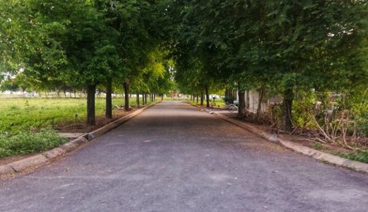 Cần Bán Gấp 811 M2 Đất Biệt Thự View Trực Diện Sông Lớn, Ngang 25M, Full Thổ Cư.