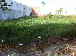 Gấp Bán Đất Tại Đường Nguyễn Hữu Trí, Gần Chợ Đệm, Giá Chỉ 350 Triệu, Sổ hồng riêng, Đất Thổ Cư, Lh: 0931332928