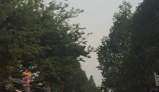 Bán 7 Lô Đất Ở Mỹ Phước Bình Dương Để Cho Con Cái Làm Ăn Vì Nay Tôi Đã Già Không Ai Quản Lý