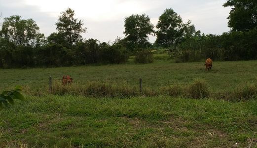 Hot Hot Hot!!! Bán 600M2, Shr, Trung Lập, Củ Chi. Giá 1,9Tr/m2. Lh: O932.032.403