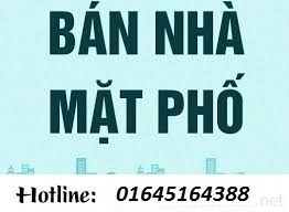 Bán Nhà Mặt Phố Tây Sơn Diện Tích 210M2 Mặt Tiền 8M Giá 48 Tỷ