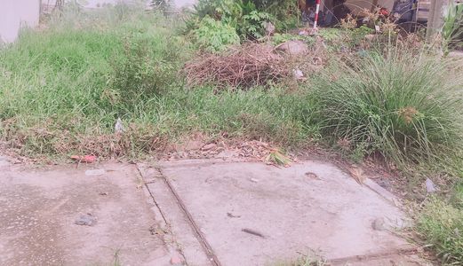 Đất Chợ Cần Đước, Đất Mặt Tiền Ql 50, 150M2, Lô Gốc 3 Mặt Tiền, Giá 1 Tỷ 5, Lh 0931535574