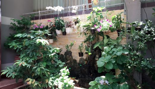 Cần Bán Nhà Nghỉ Đường Lê Đại Hành