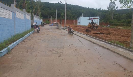 Cần Ra Đất Nền Ngay Đường Cây Thông Ngoài, Vị Trí Cực Đẹp