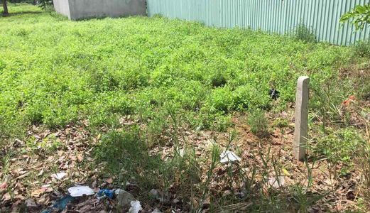 Đất Thanh Lý Mùa Wc, 300M2, Giá 790 Triệu, Đất Bến Lức, 0931.535.574