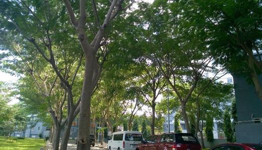 Chính Chủ Bán Gấp Căn Hộ Penhouse Ở Phú Mỹ Thuận Nhà Bè, Dt 186M2, Giá Chỉ 2.4 Tỷ 