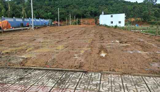 Đất Nền Mặt Tiền Cây Thông Ngoài Sổ Riêng, Pháp Lý Nhiều Tiện Ích