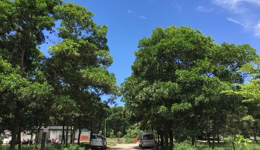 Chính Chủ Cần Bán Ô Đất Bt Tuần Châu Giá Rẻ Nhất Thị Trường.12Tr/m2 423M2 Hướng Tn