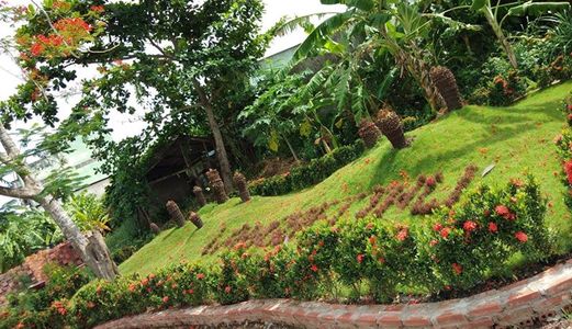 Bán Đất Nền Phường 4 Tân An. Có Sổ Đỏ Sang Tên Ngay,  Liền Kề Ql1, Gần Chợ Khánh Hậu, Gần Trường,..