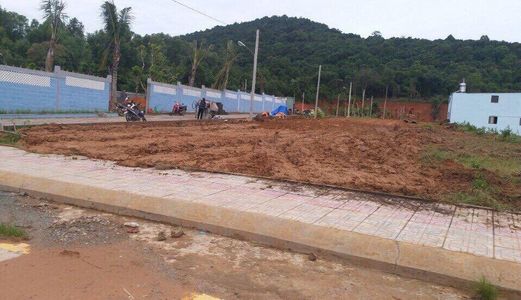 Còn 1 Lô Mặt Tiền Đường Cây Thông Ngoài Thổ Cư 100%