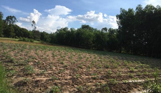 Cần Bán Gấp Trrong Ngày