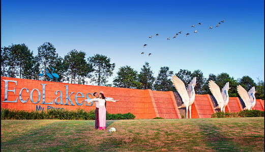 Biệt Thự Đẳng Cấp, Sang Trọng Khuôn Viên Đẹp Không Khí Trong Lành