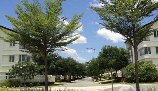 Biệt Thự Đẳng Cấp, Sang Trọng Khuôn Viên Đẹp Không Khí Trong Lành