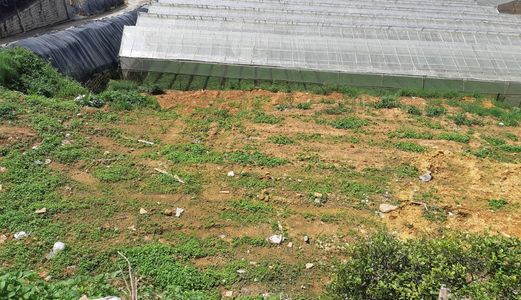 Bán Đất Đường Xô Viết Nghệ Tĩnh, Phường 8, Đà Lạt - 607M2 - 20 Tỷ Đ2637