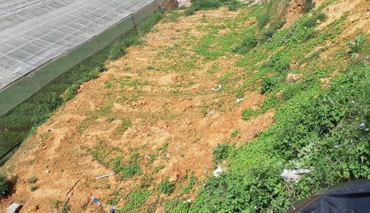 Bán Đất Đường Xô Viết Nghệ Tĩnh, Phường 8, Đà Lạt - 607M2 - 20 Tỷ Đ2637