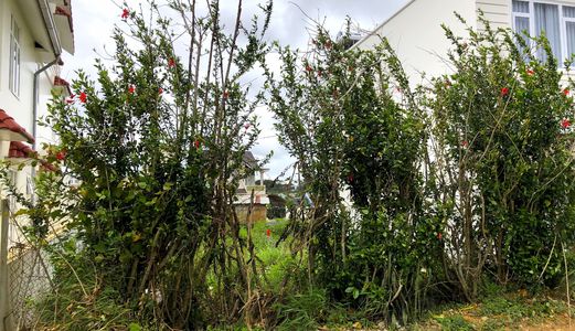 Bán Đất Thổ Cư Chính Chủ, Khu Nam Hồ, View Thung Lũng